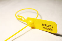 Adjustable plastic seal