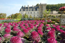 Charming and comfortable cottage with swimming pool between the Futuroscope and the Loire Valley castles