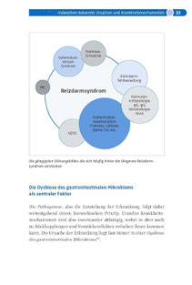 Beispielseite aus dem Buch von Thomas Struppe. Zu sehen ist eine grafische Übersicht der Ursachen des Reizdarmsyndroms: Dünndarmfehlbesiedlung, Glutensensitivität, Nickelallergie etc.