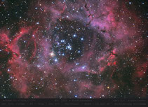 NGC 2244  ,  Rosettennebel