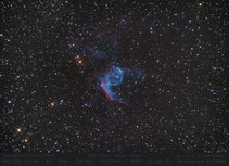 NGC 2359  ,  Thors Helm