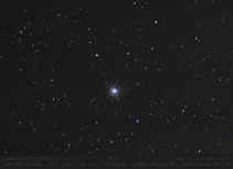 M 79