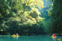 Experience a great kayaking trip into the Phang Nga Bay.