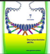 dntp sets, dntp mix, nucleotides mix, nucleotides set