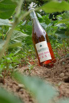 Secco rosé "Rosi"