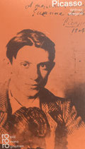 Taschenbuch – Pablo Picasso | Zusammenfassung seiner Lebensgeschichte