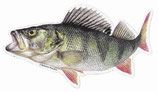 Pescars Sticker mit Fisch-Motiv - Autoaufkleber Flussbarsch / Egli 14cm