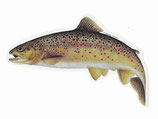 Pescars Sticker mit Fisch-Motiv - Autoaufkleber Bachforelle 15cm