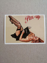 Pinup 13