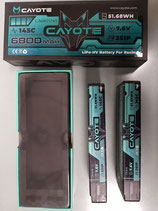 LiPo CAYOTE 6800 - Usata