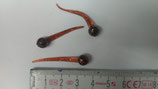 Sperm Worm 1''