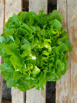 Salade
