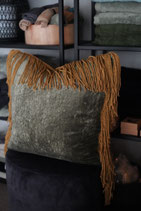 HORTA MOSS