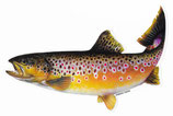 Pescars Sticker mit Fisch-Motiv - Autoaufkleber Bachforelle / Trout 24cm / ST2