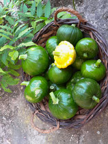 Courgettes rondes (1kg)