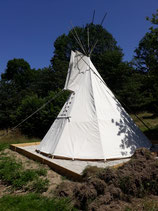 Tipi 5m polycoton