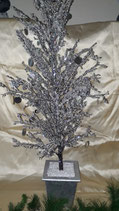 Spiegelboom