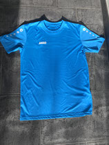 Trainingstrikot, Hellblau Gr. 164, (46)