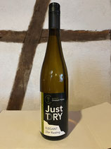 2022er Riesling Qualitätswein trocken "Just DRY"