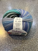 Wooly Hugs, Paint Socks Farbe 201