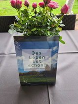 Das Leben ist schön! Ich wünsche einen schönen Tag