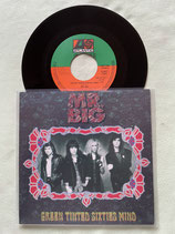 Mr. Big, Green Tinted Sixties Mind / h