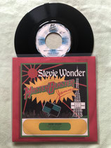 Stevie Wonder, Master Blaster