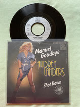 Audrey Landers, Manuel Goodbye