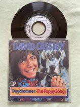 David Cassidy, Daydreamer / r