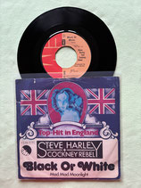 Steve Harley, Black Or White