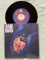 Mr. Big, Just Take My Heart / h