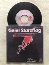 Geier Sturzflug, Bruttosozialprodukt / ndw