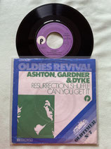 Ashton, Gardner & Dyke, The Resurrection Shuffle / r