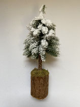 Tannenbaum auf Holzsockel 3 Sorten