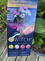 Hydrangea macrophylla (S)witch 'Kassiopeia pink'