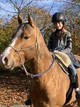 Schnupperstunde Horsemanship