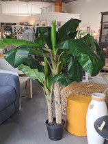 Large Faux Potted Tropical Palm
