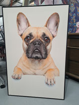 BRAND NEW Framed French Bulldog Print