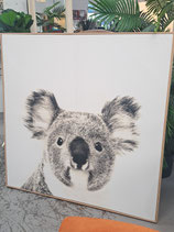 Framed Koala Print