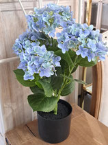 BRAND NEW Faux Potted Hydrangea
