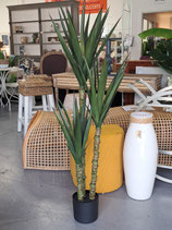 BRAND NEW Faux Potted Sisal Tree - 3 Available