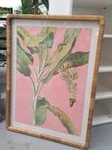 BRAND NEW Cane & Glass Framed Pink/Green Palms Print