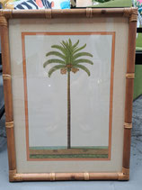 BRAND NEW Glass & Cane Framed Palm Print