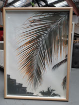 Framed Silhouette Palm Print