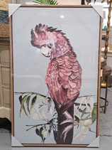 BRAND NEW Cockatoo Print