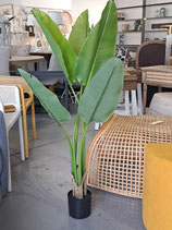 BAND NEW Faux Potted Strelitzia Tree - 4 Available