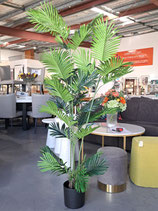 BRAND NEW Potted 165cm Faux Palm Tree - 4 Available