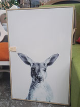Framed Black & White Kangaroo Print