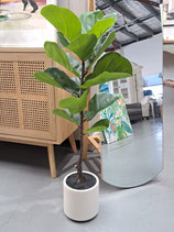 BRAND NEW Faux Potted Fiddle Leaf Tree - 2 Available