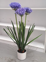 BRAND NEW Faux Potted Agapanthus Flowers - 4 Available